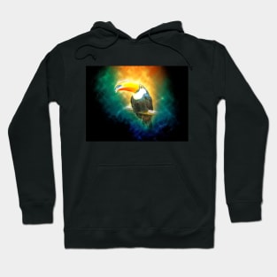 Toucan Toco Bird Animal Wildlife Forest Nature Flight Outdoor Digital Painting Hoodie